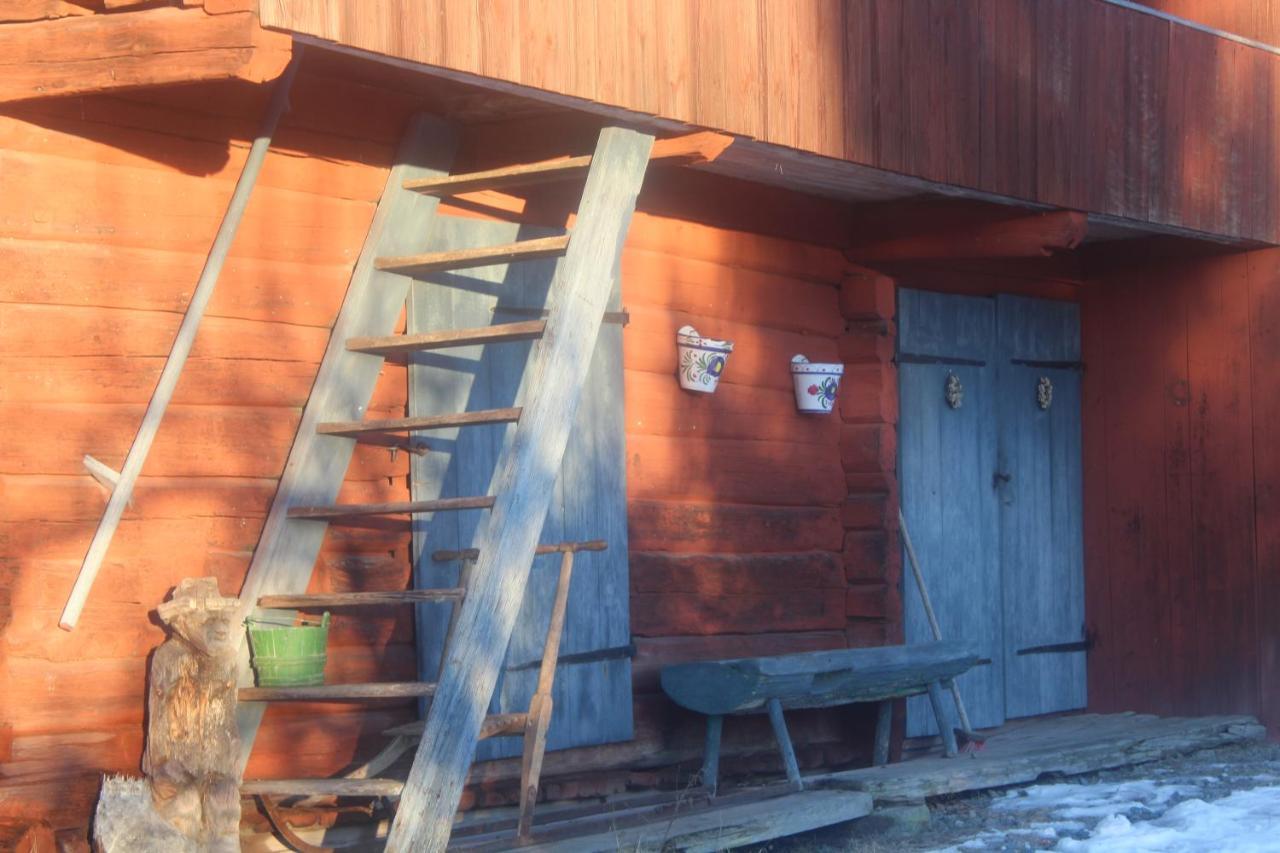 Naera Romme Alpin Och Andra Friluftsaktiviteter I Dalarna