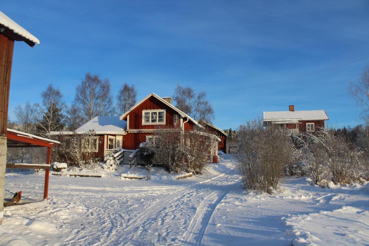 Naera Romme Alpin Och Andra Friluftsaktiviteter I Dalarna *