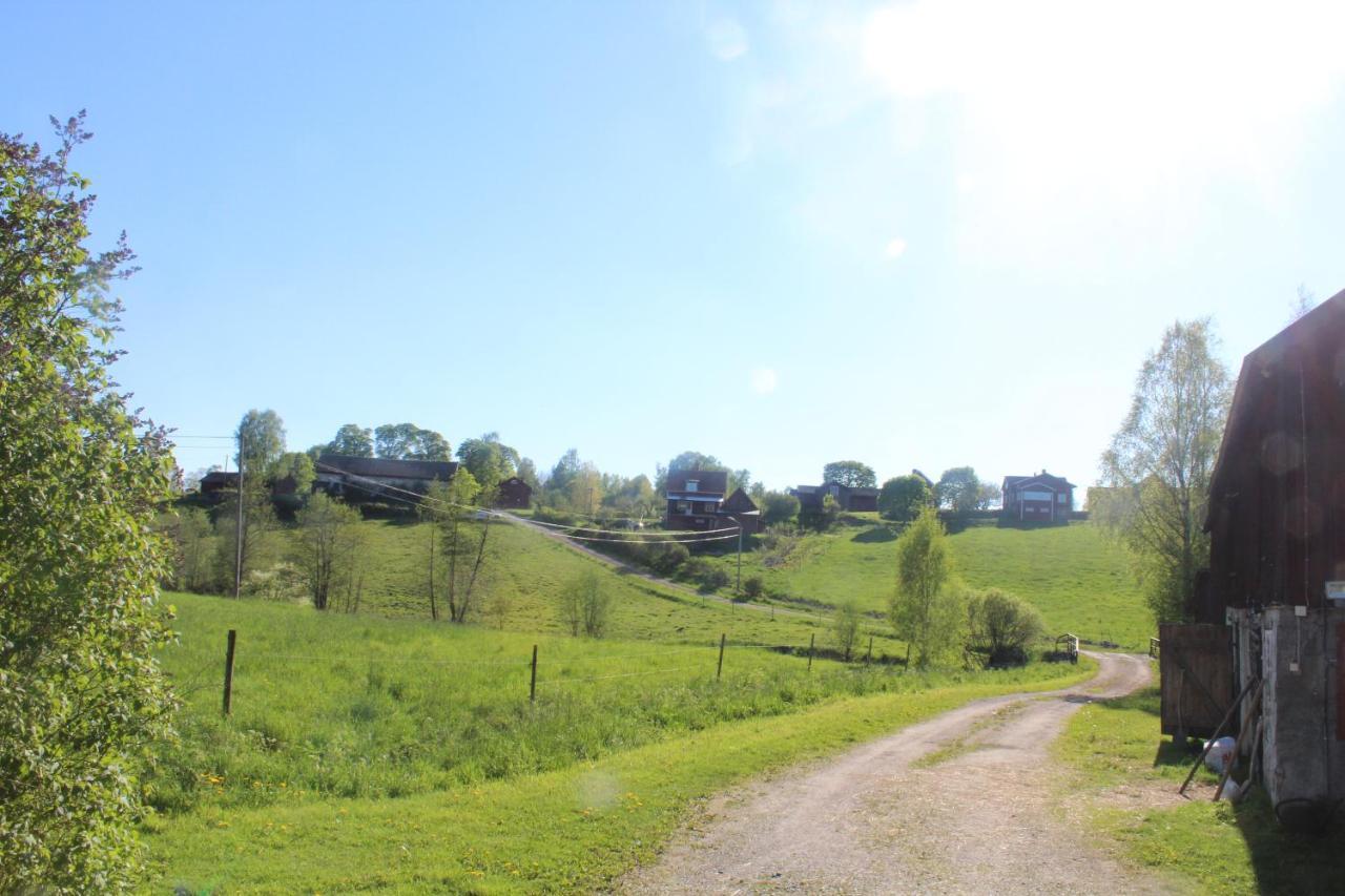 Naera Romme Alpin Och Andra Friluftsaktiviteter I Dalarna Holiday home Smedjebacken