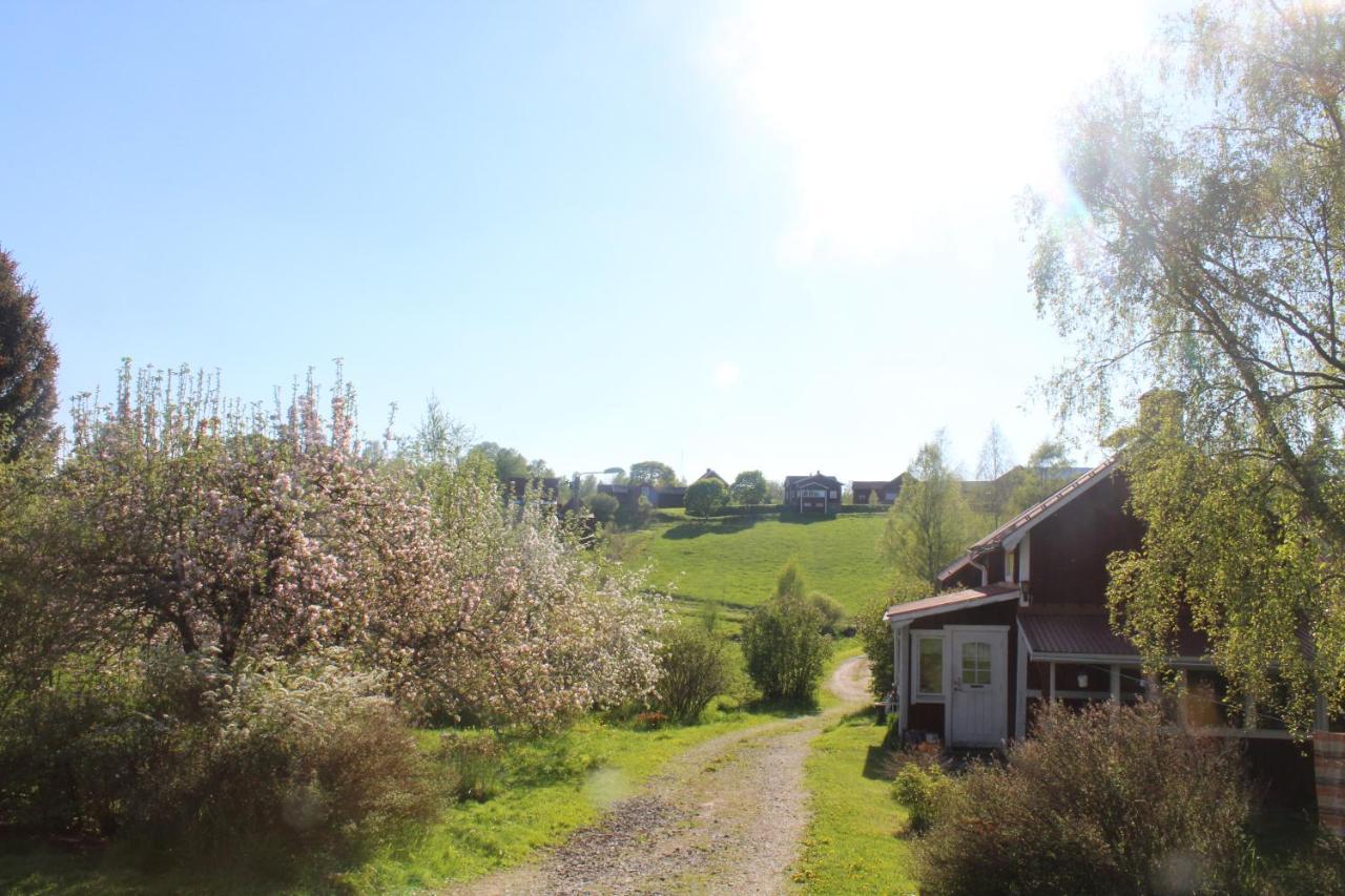 Naera Romme Alpin Och Andra Friluftsaktiviteter I Dalarna Smedjebacken